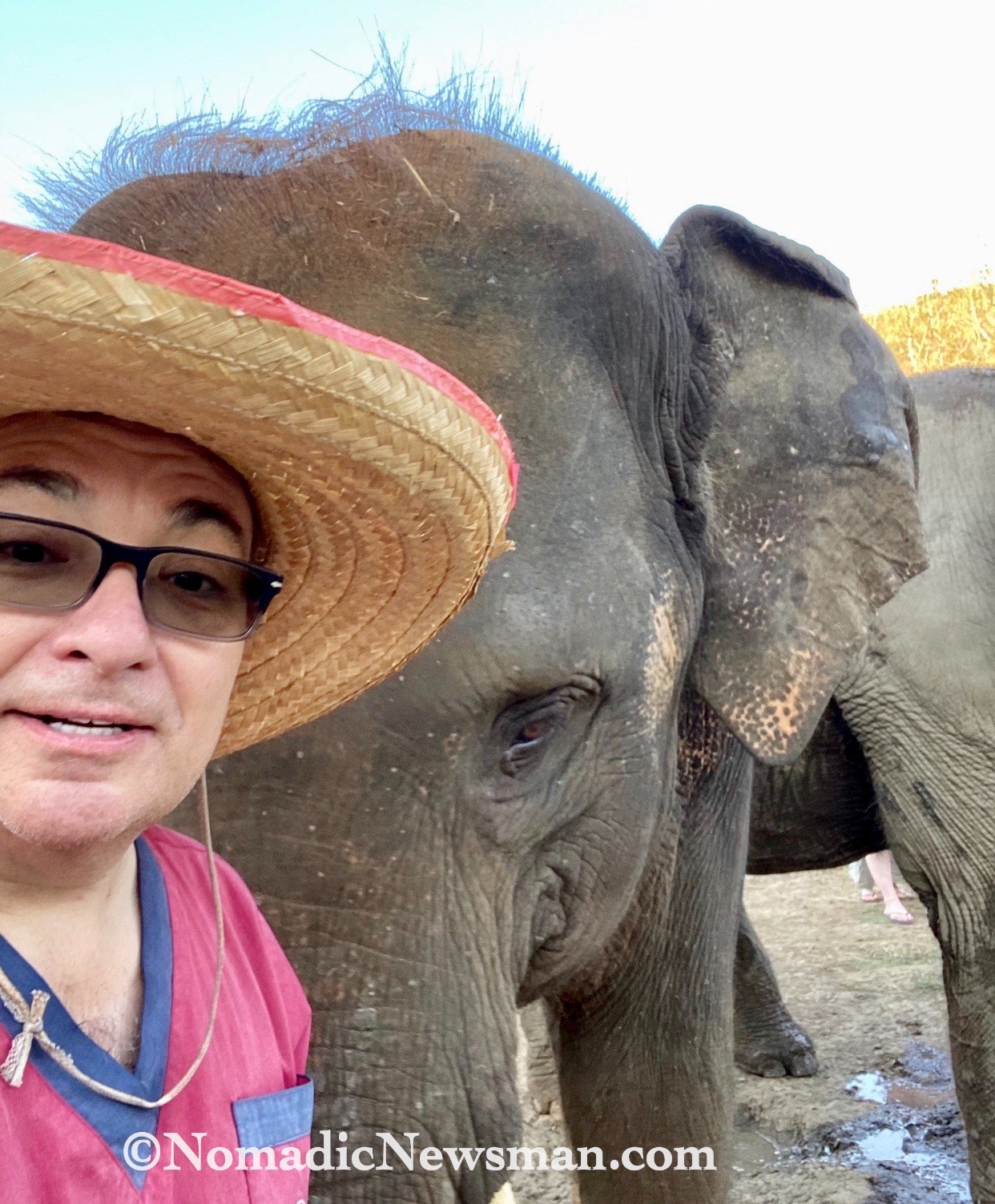 my very first elephant selfie