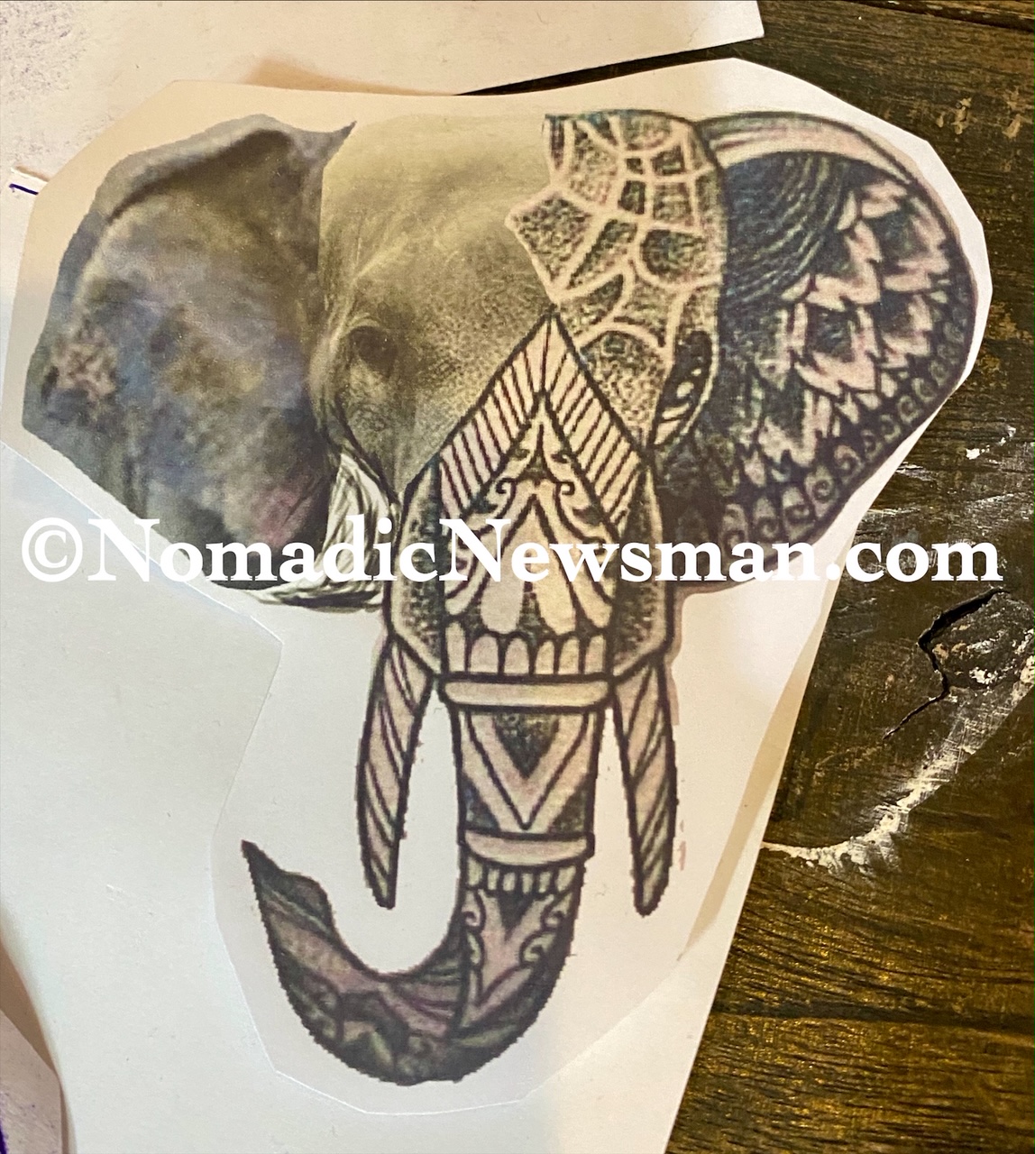 rendering of Joey's elephant tattoo