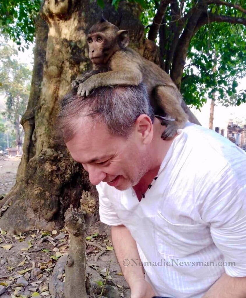 Monkey on My Back